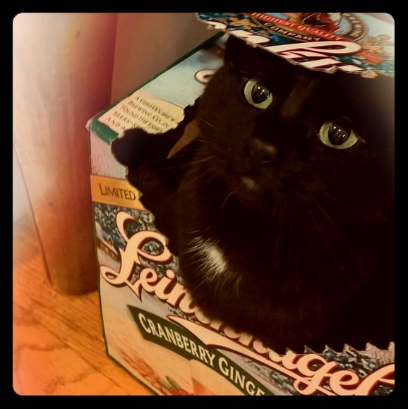 Meet your Posher, Megs - Picture 1 of 1